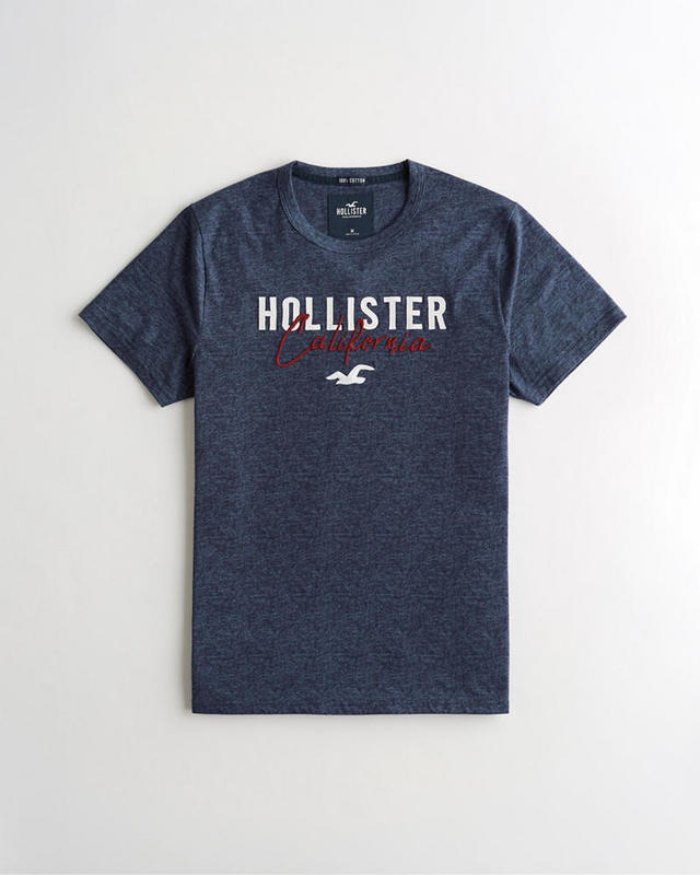 Hollister Men's T-shirts 172